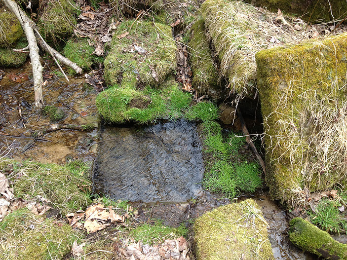 The remains of an old spring used long ago.  Foundations of an old home can be seen along the trail nearby.