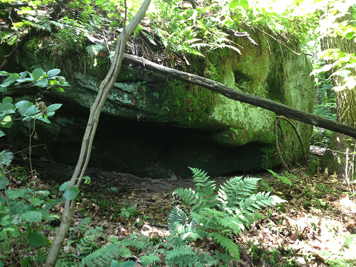 A small shelter can be seen beneath a large boulder along a hiking trail at this vacation cabin for rent.